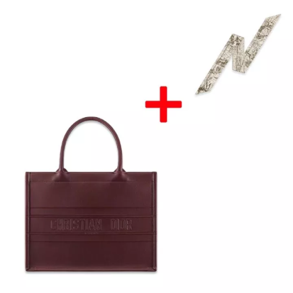 [New] DIOR BOOK TOTE Small Bag Smooth Calfskin